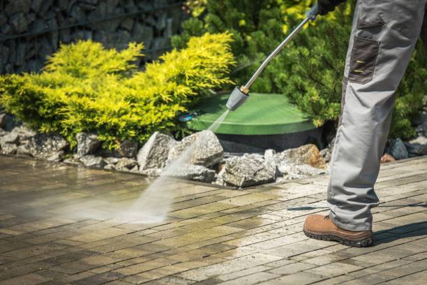 Best Fence Cleaning  in Junction City, KY